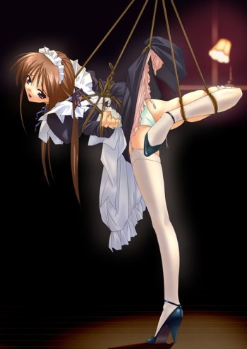 Random Bondage Pics 2 cover