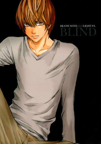 Blind cover