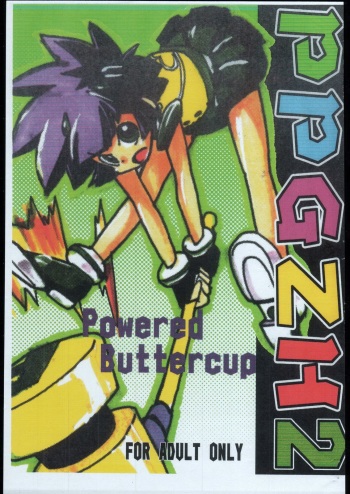PPGZH 2 cover
