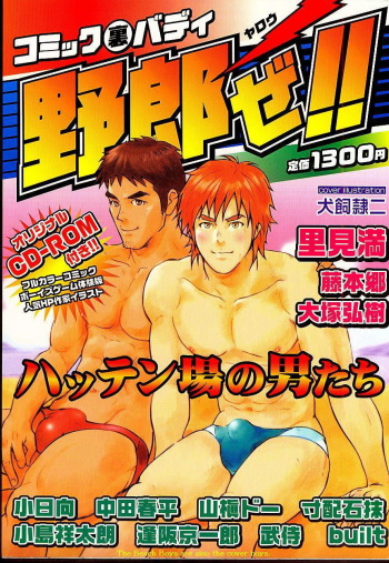 BeachBoy cover