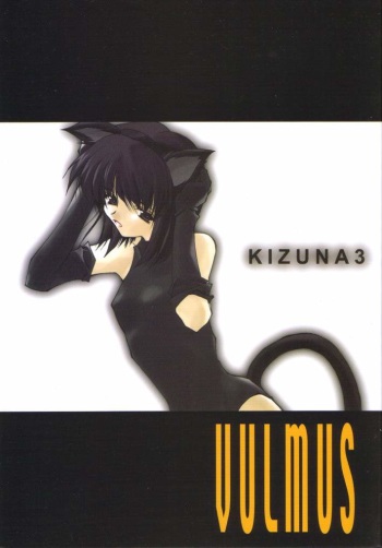 KIZUNA 3 VULMUS cover