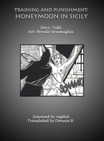 Training and Punishment: Honeymoon In Sicily cover