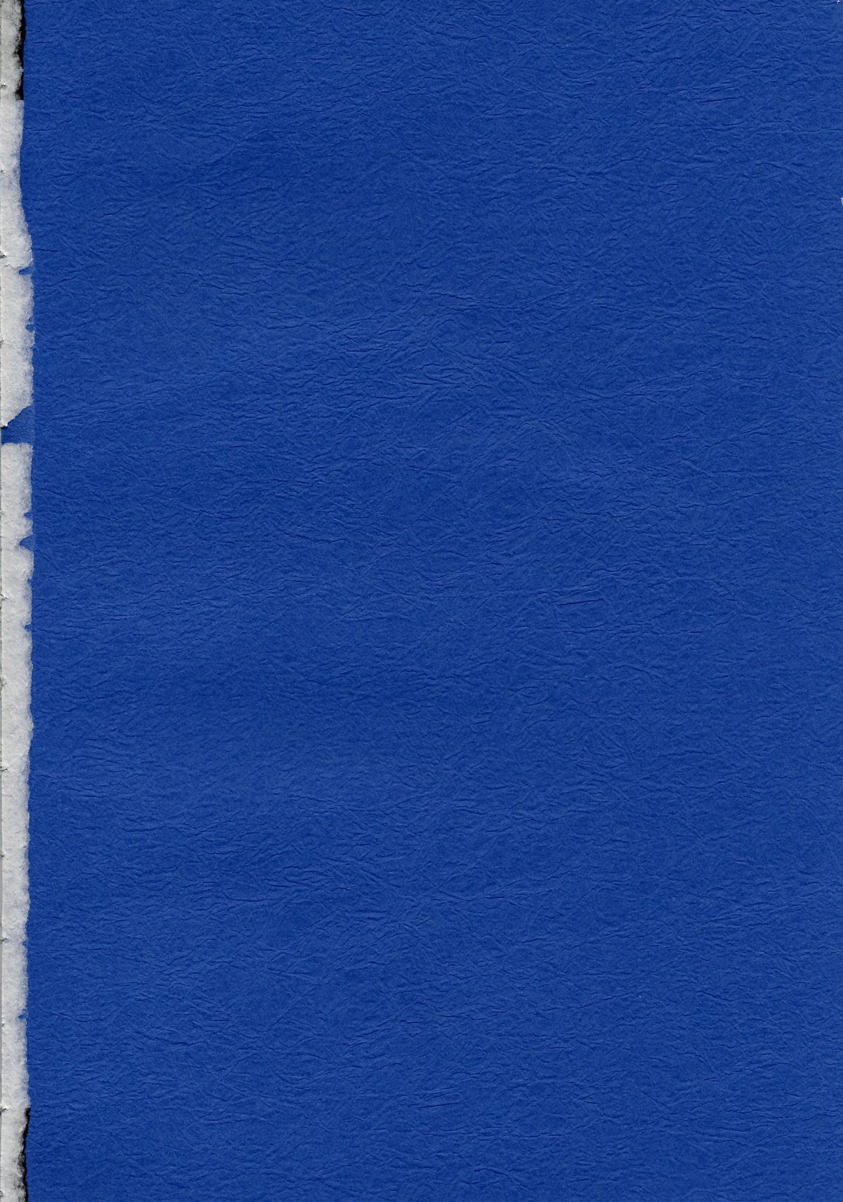 Ruridou Gahou CODE:19 page 4 full