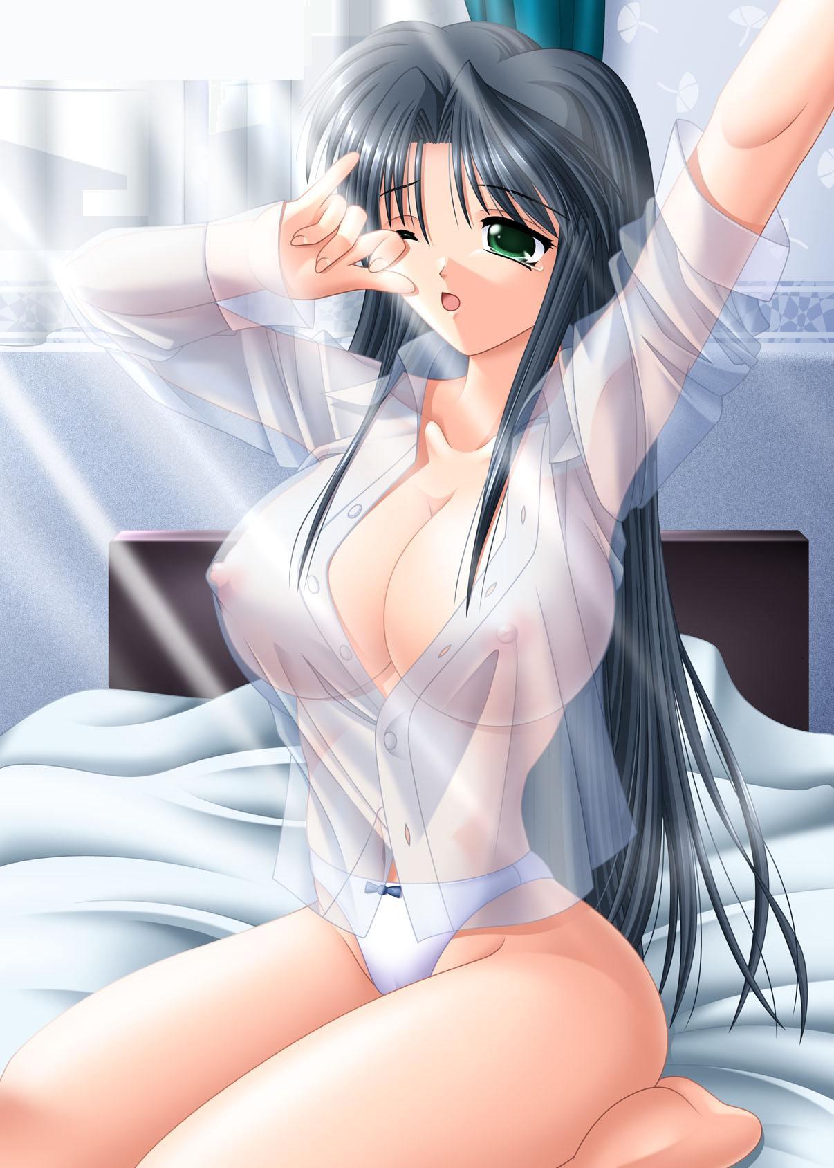 Hentai Package Collection 28 page 10 full