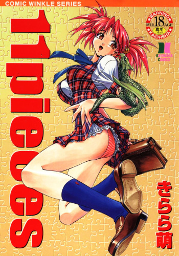 11 Pieces cover