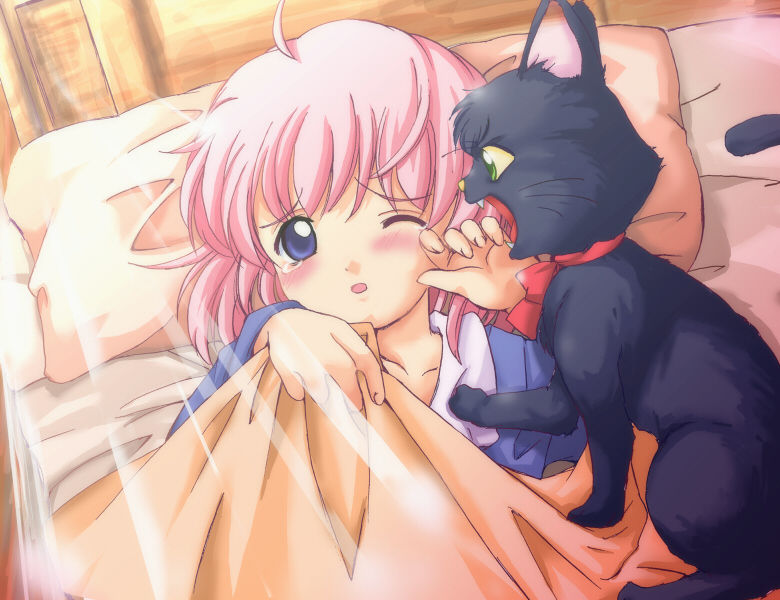 Little Witch ☆ Parfait ～Miirareta Mahouyasan～ page 4 full