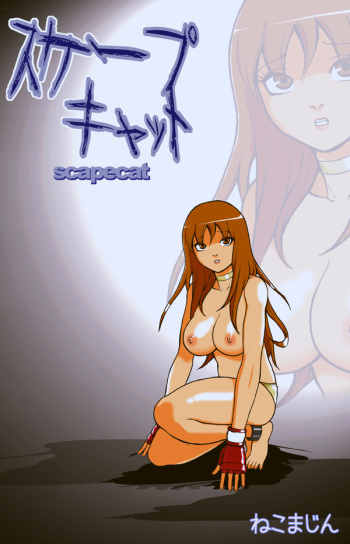ScapeCat 1 cover