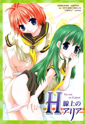 H Senjou no Aria cover