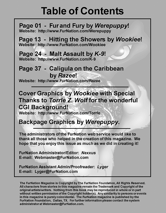 Furnation Issue 1 page 2 full