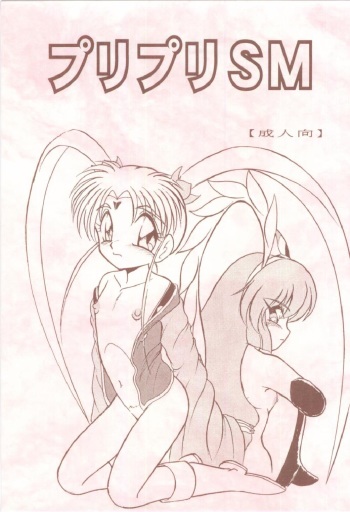 PuriPuri SM cover