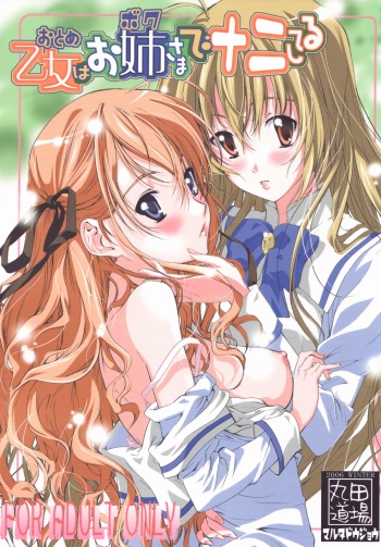 Otome wa Boku de Nani Shiteru cover