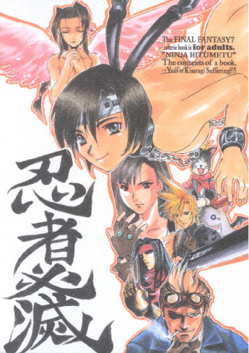 Ninja Hitumetu cover