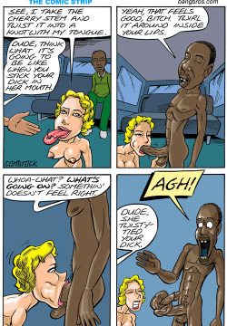 Bang Bros - The Comic Strip