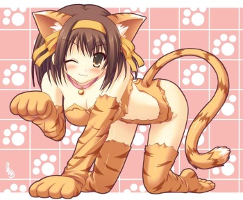 Catgirls cover