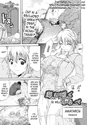 No ni Saku Shirube cover