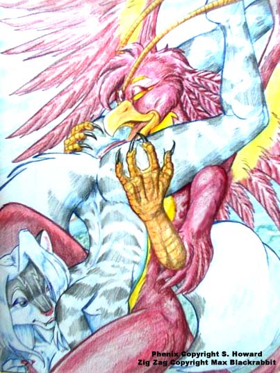 avian pics page 10 full