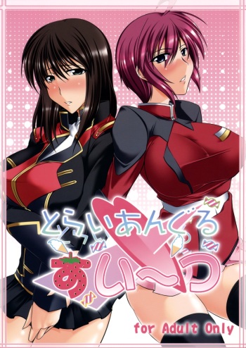 Triangle Sweets cover