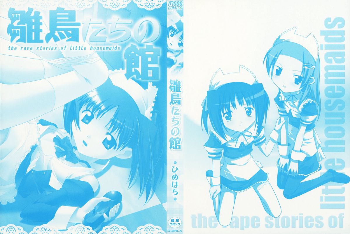Hinadori Tachino Yakata page 3 full