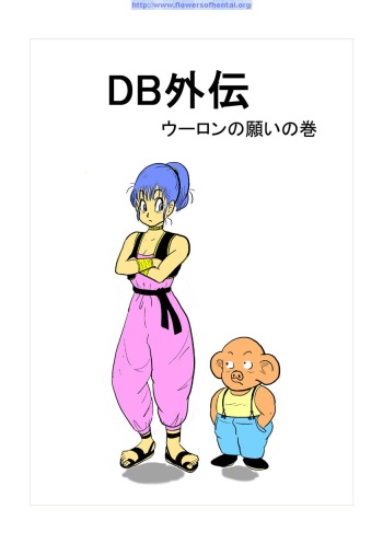 DB Gaiden - Oolong no Negai no Maki cover