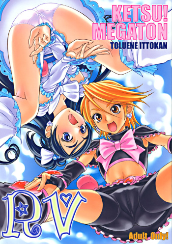 Ketsu! Megaton RV cover