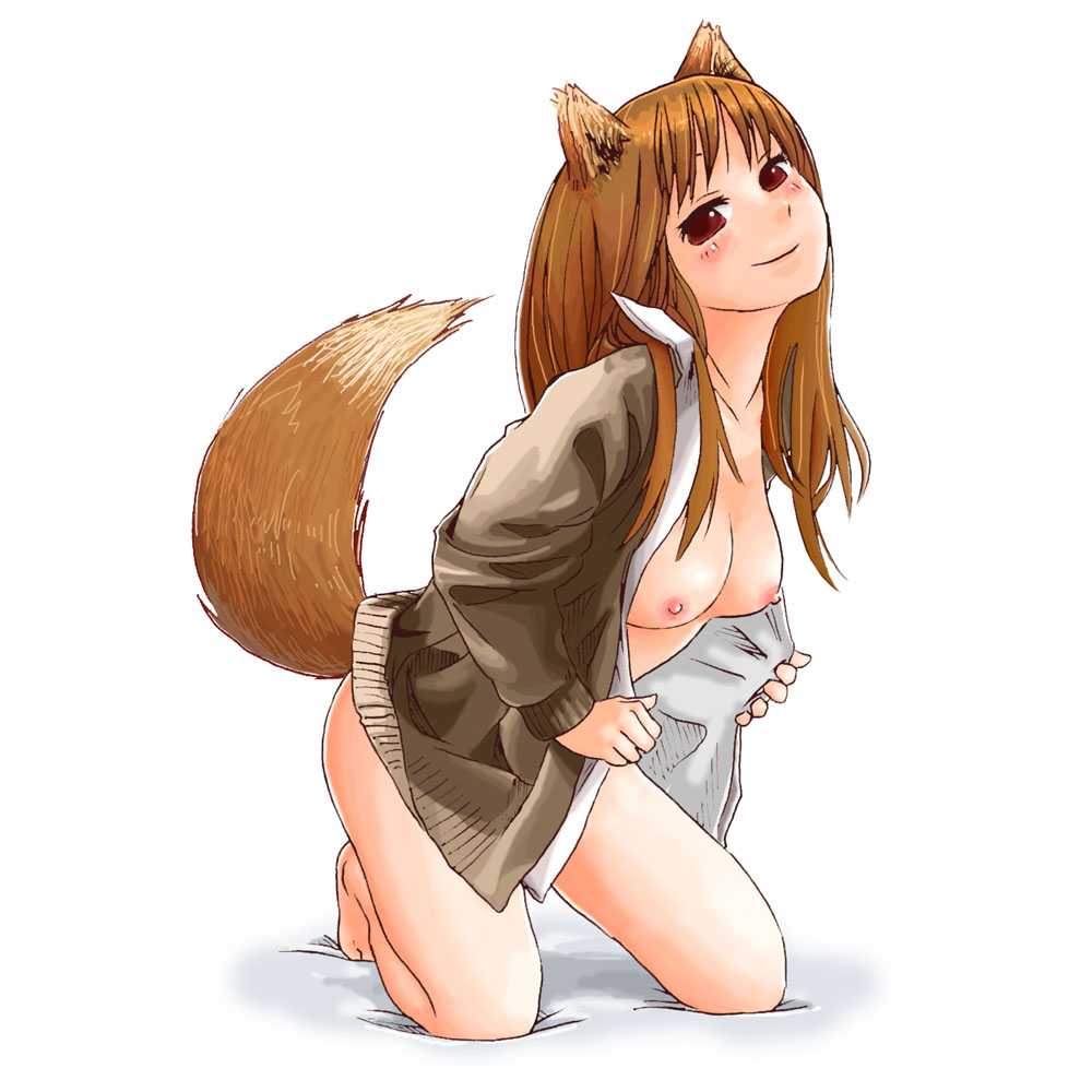 spice and wolf page 1 full