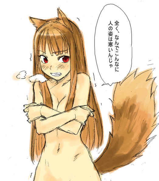 spice and wolf page 6 full