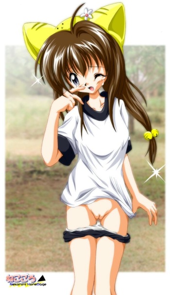 Renchan Imageboard Grab - Neko cover