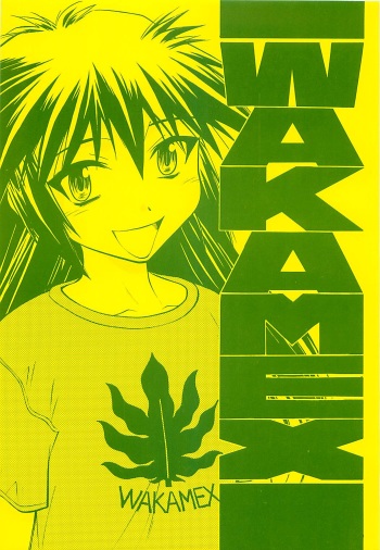 WAKAMEX cover