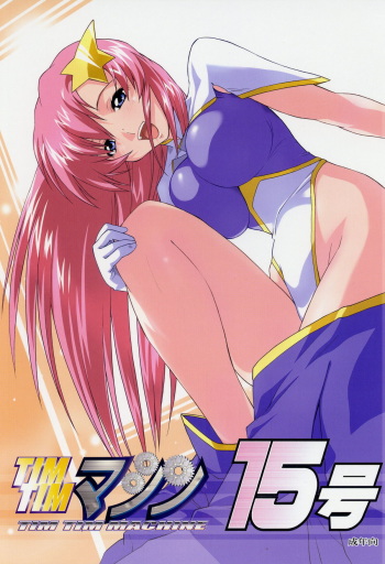 TimTim Machine 15 cover