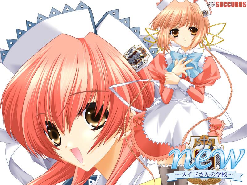 New ～Maid-san no Gakkou～ page 2 full