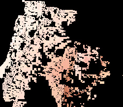 H Gifs