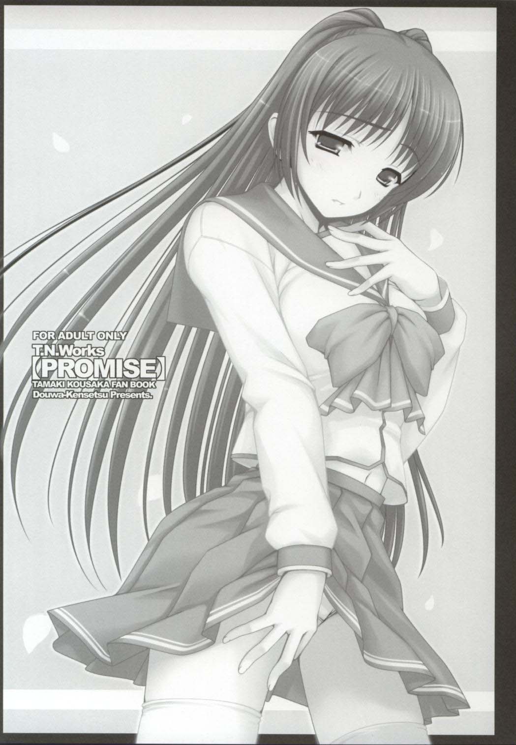 PROMISE page 2 full