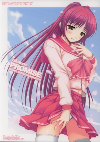 PROMISE cover
