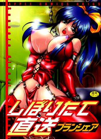 Shiboritate Chokusou cover
