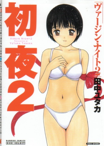 Virgin Night 2 cover