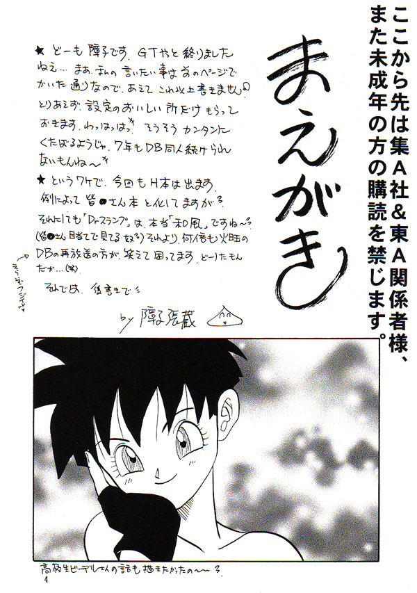 HOHETO page 3 full