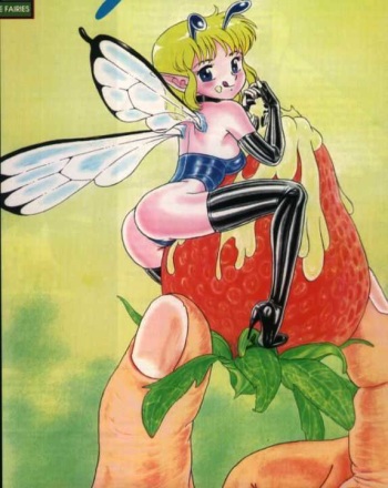 Bondage Fairies 1 cover