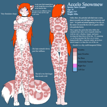 Accelo Snowmew The Snow Leopard cover