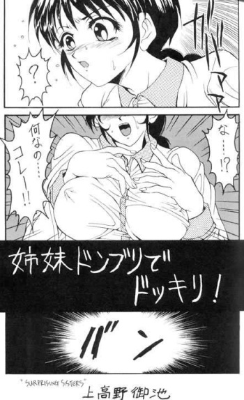 Shimai donburi de dokkori!! cover