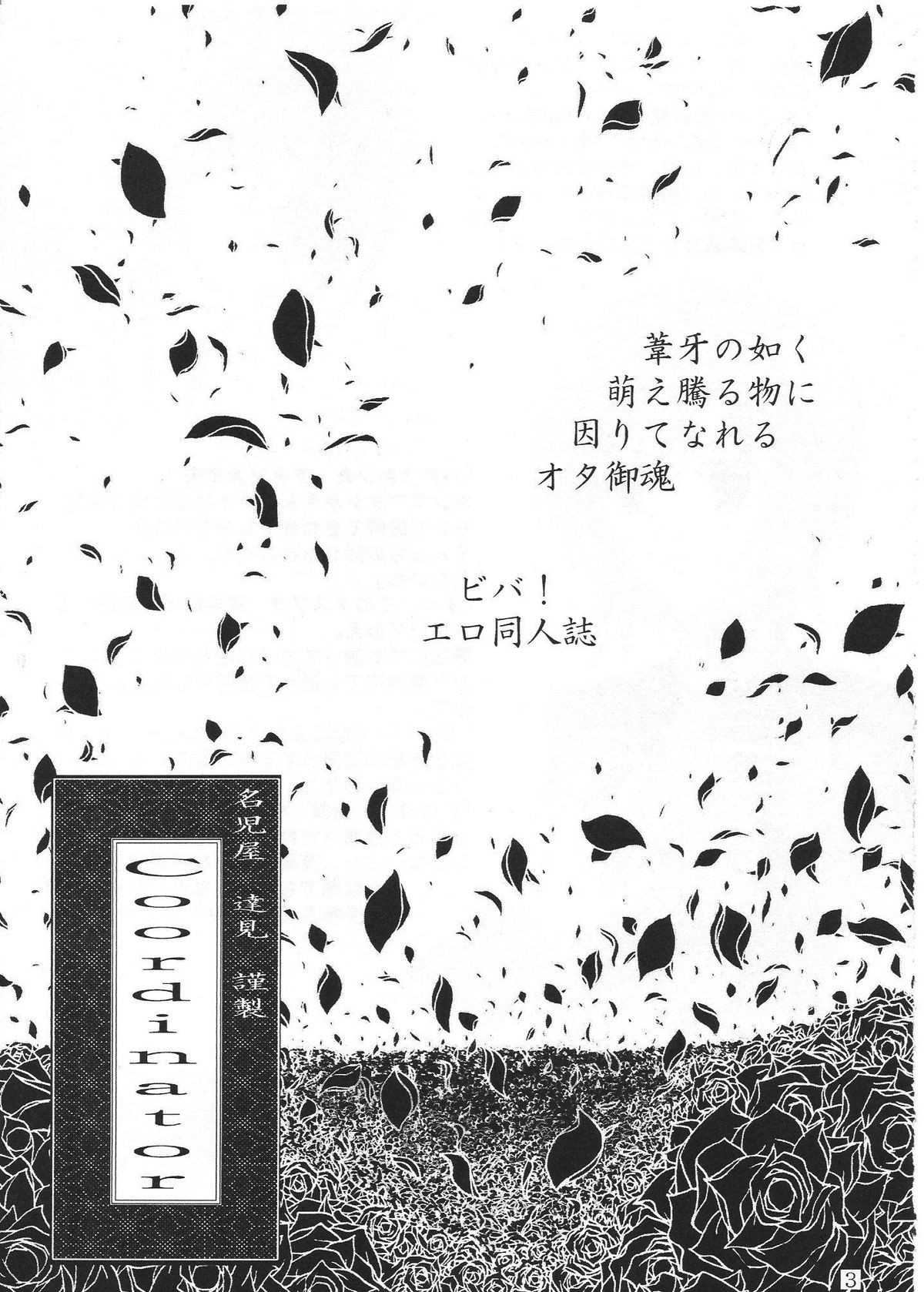 Coordinator page 2 full