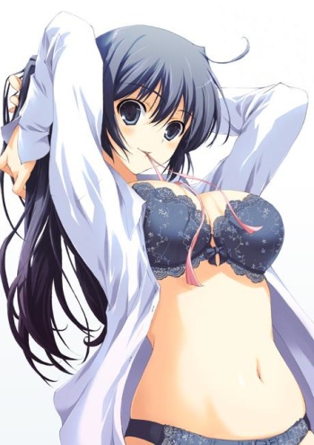 Ecchi y hentai variado cover