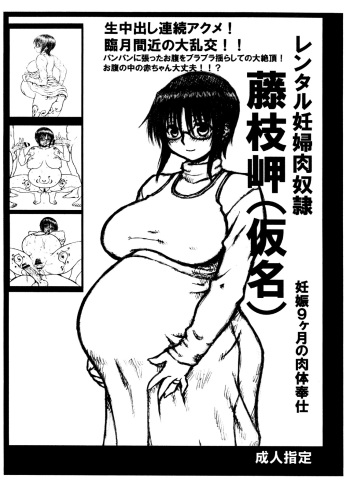 Rental Ninpu Nikudorei Fujieda Misaki cover