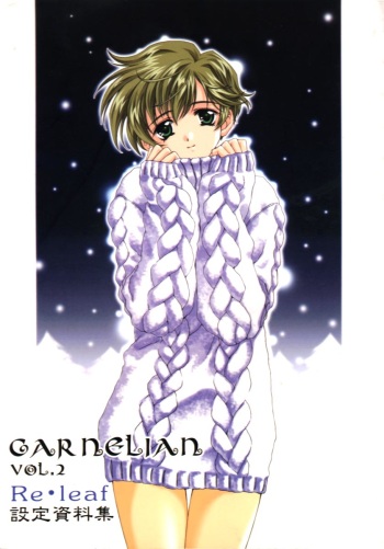 CARNELIAN vol.2  - Re&middot;Leaf Settei Shiryou Tsudo cover