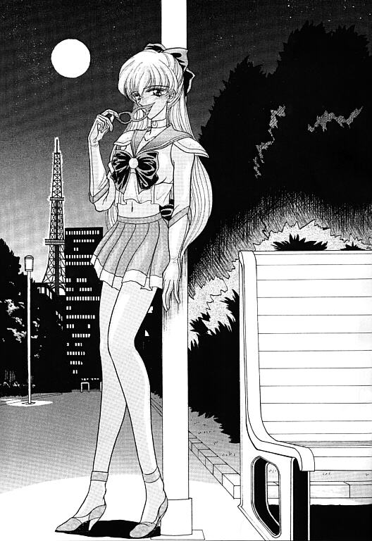 COLLECTION OF <<SAILORMOON>> ILLUSTRATIONS FOR ADULT Vol. 1 page 6 full