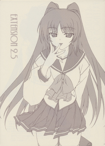 EXTENSION 2.5 cover