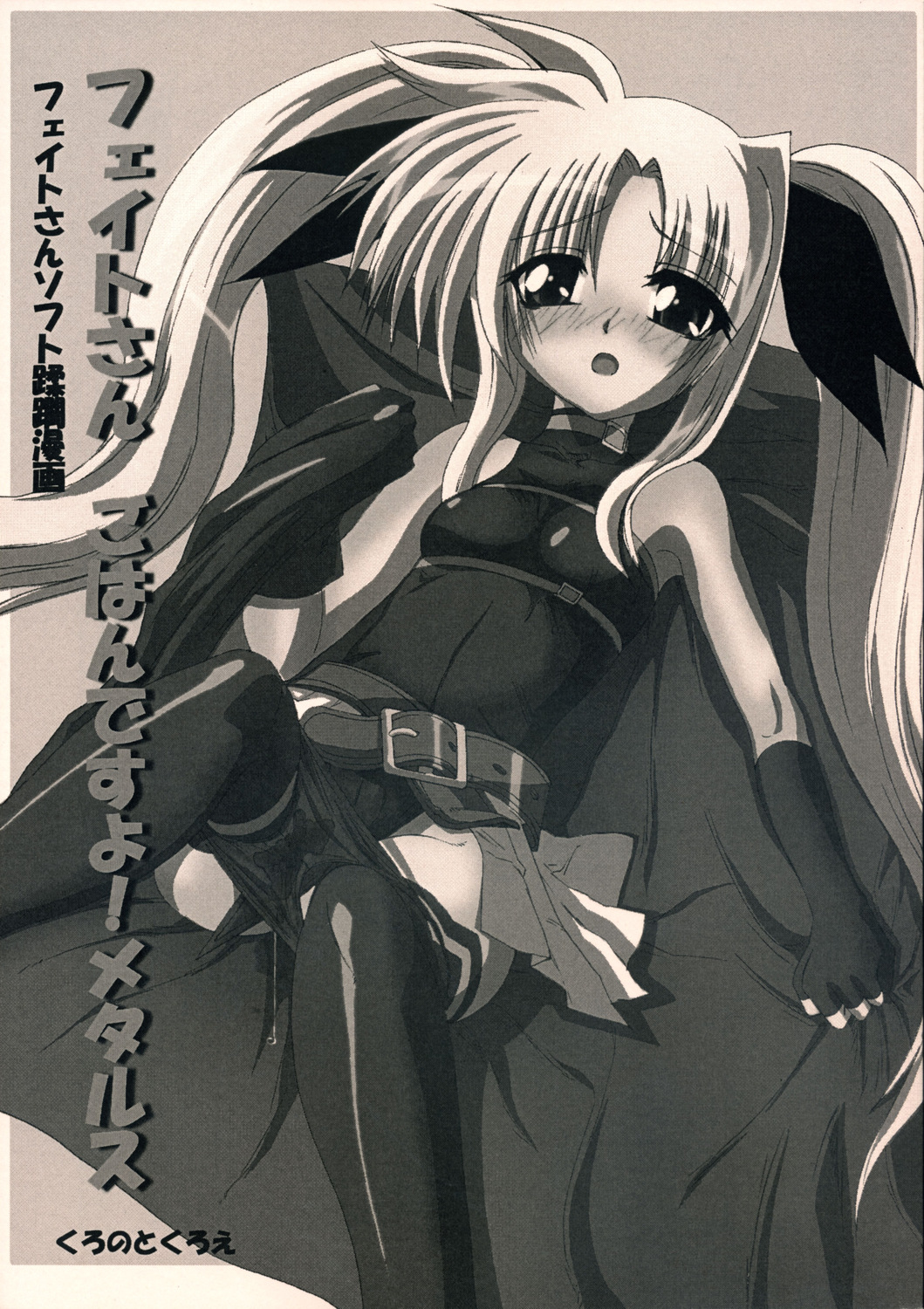 Fate-san Gohan Desuyo! Metals page 1 full