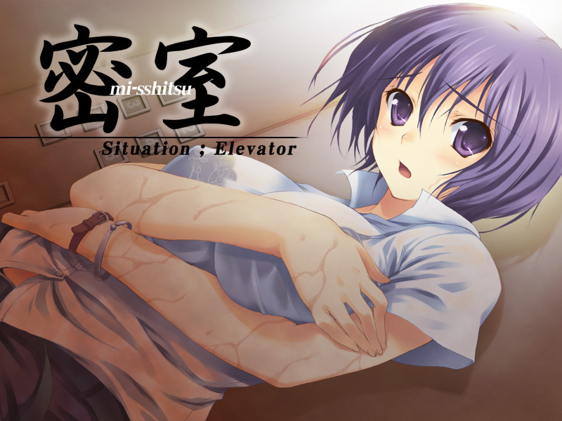 Misshitsu - Situation Elevator - page 1 full