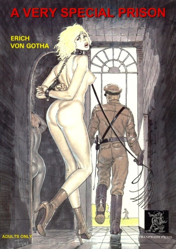 A Very Special Prison cover