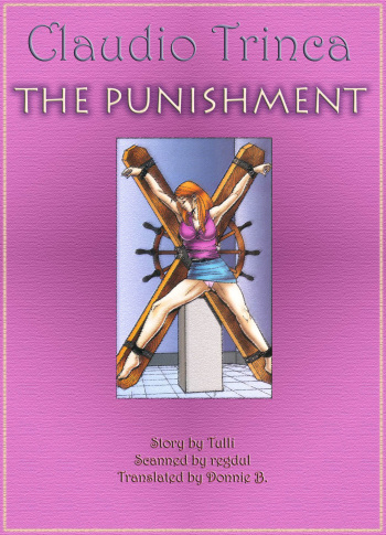 The Punishment cover