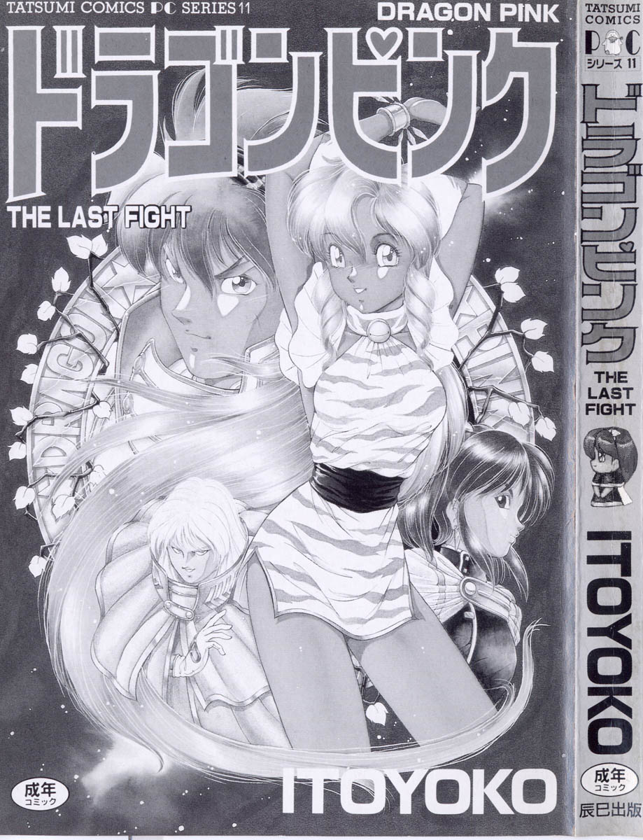 Dragon Pink THE LAST FIGHT page 3 full